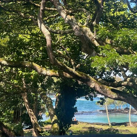Ocean View Mauna Loa Shores Kai Ekahi #201 Next To Carlsmith Beach Park Hilo Hi 외부 사진