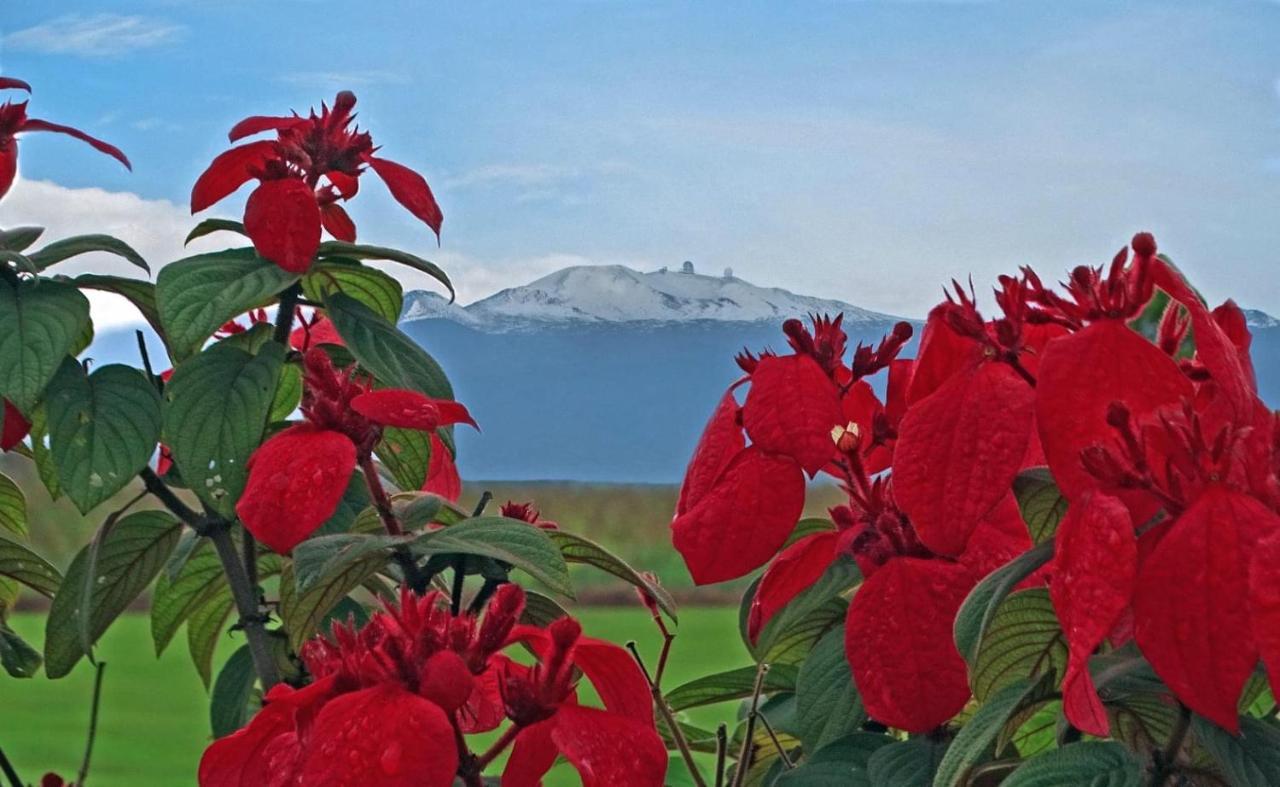 Ocean View Mauna Loa Shores Kai Ekahi #201 Next To Carlsmith Beach Park Hilo Hi 외부 사진
