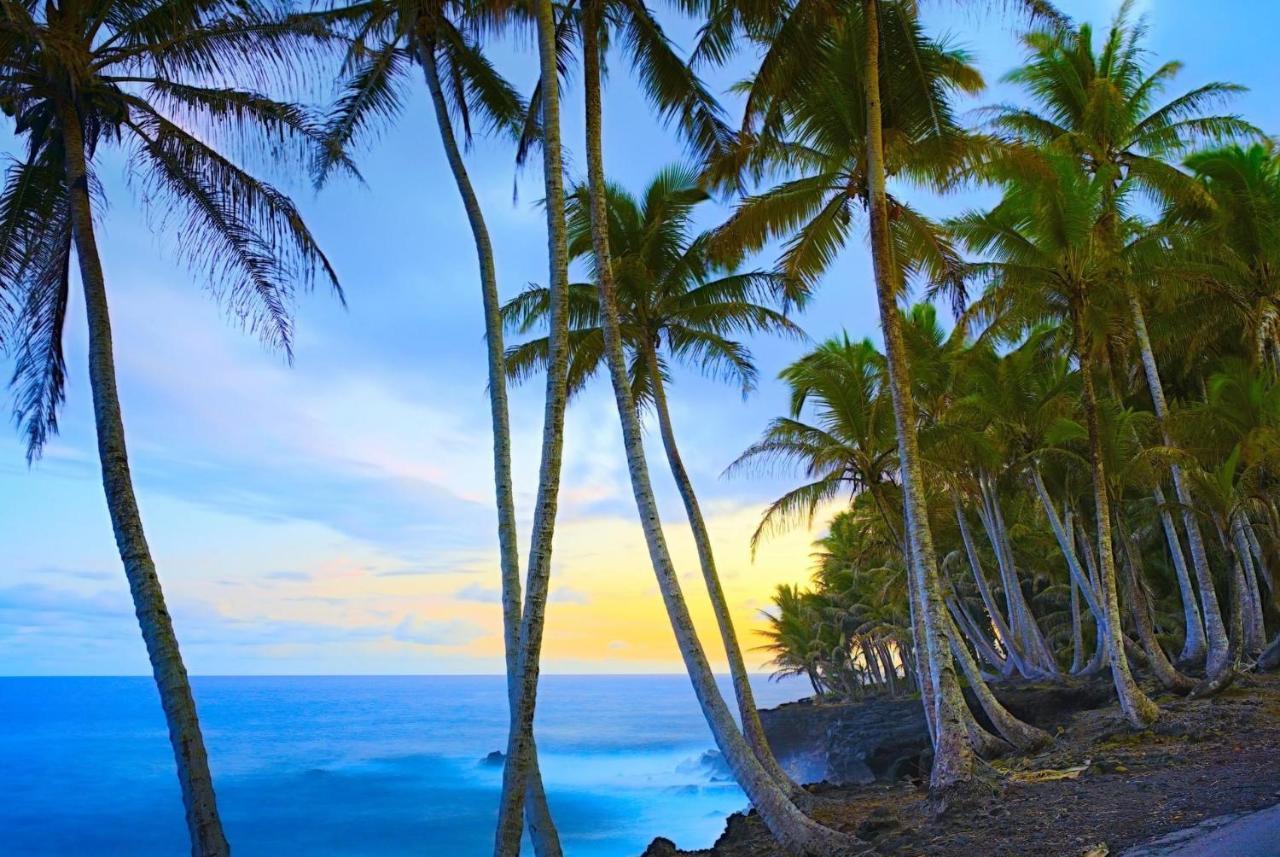 Ocean View Mauna Loa Shores Kai Ekahi #201 Next To Carlsmith Beach Park Hilo Hi 외부 사진