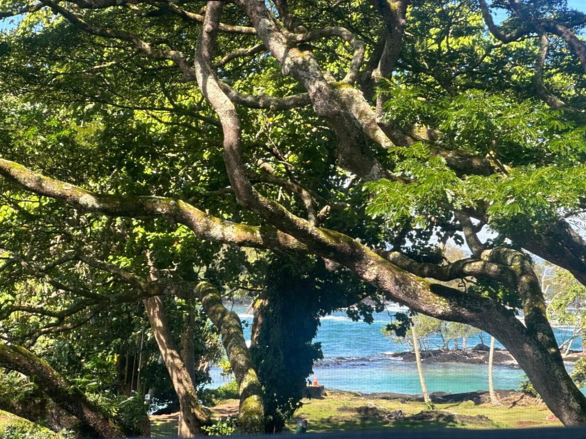 Ocean View Mauna Loa Shores Kai Ekahi #201 Next To Carlsmith Beach Park Hilo Hi 외부 사진