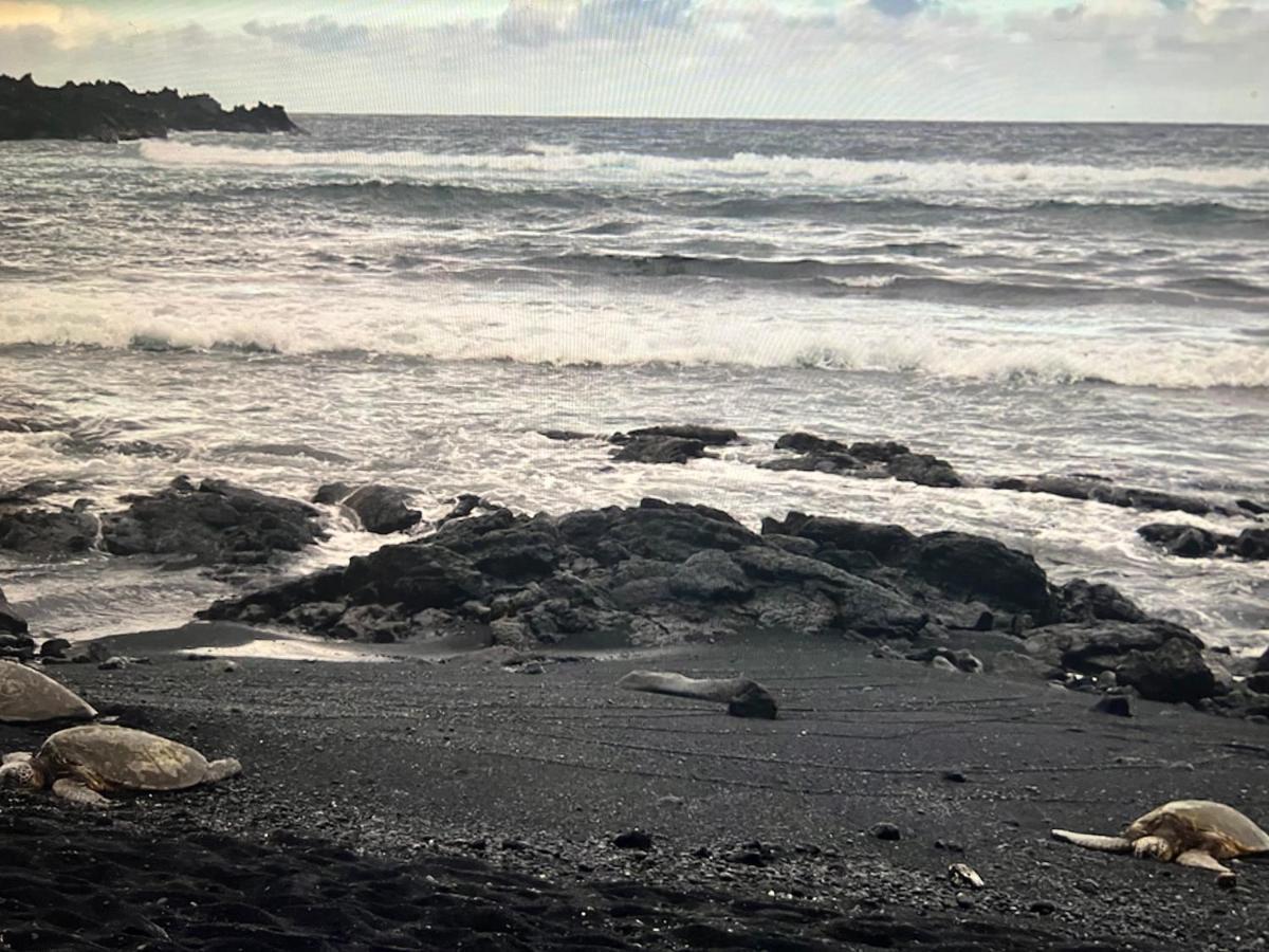 Ocean View Mauna Loa Shores Kai Ekahi #201 Next To Carlsmith Beach Park Hilo Hi 외부 사진