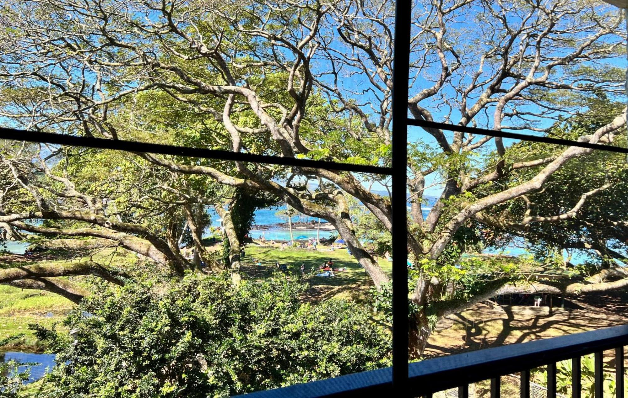 Ocean View Mauna Loa Shores Kai Ekahi #201 Next To Carlsmith Beach Park Hilo Hi 외부 사진