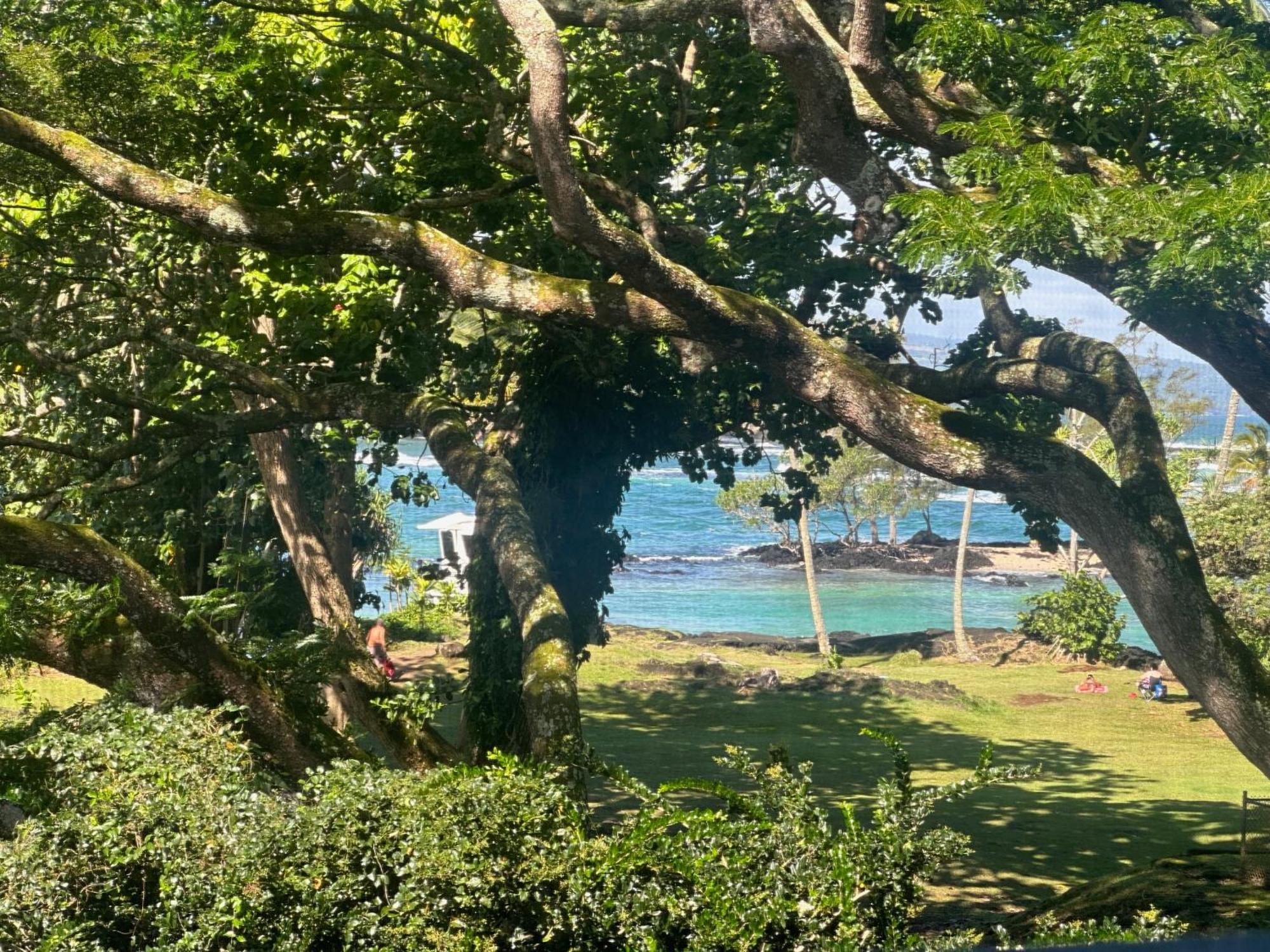 Ocean View Mauna Loa Shores Kai Ekahi #201 Next To Carlsmith Beach Park Hilo Hi 외부 사진